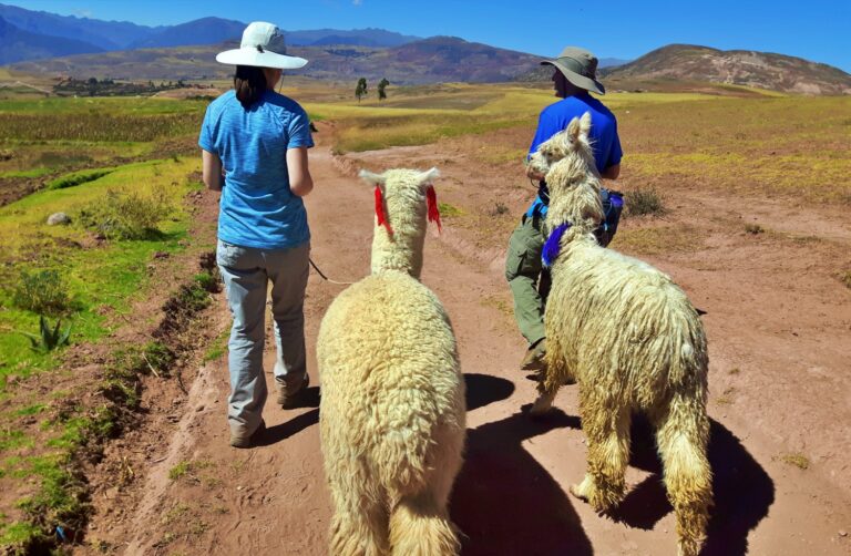 1-day pumamarca to ollantaytambo trek