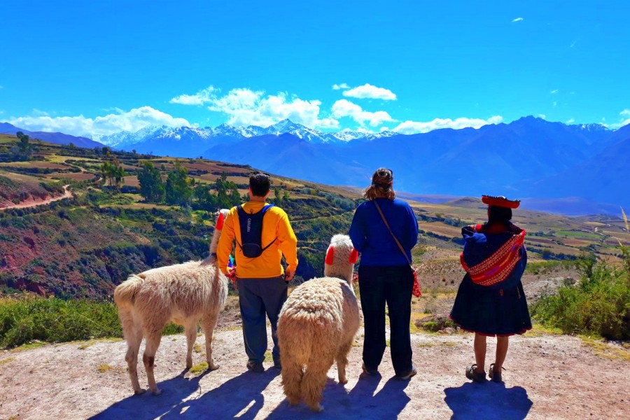 1-day moray to maras llama trek