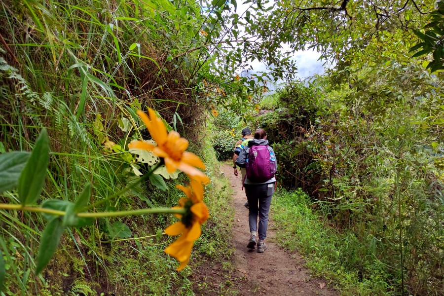 1-Day Short Inca Trail to Machu Picchu