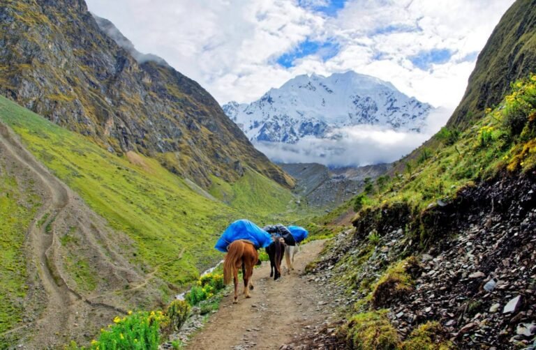 4-Day Salkantay Trek to KM 82 and Machu Picchu