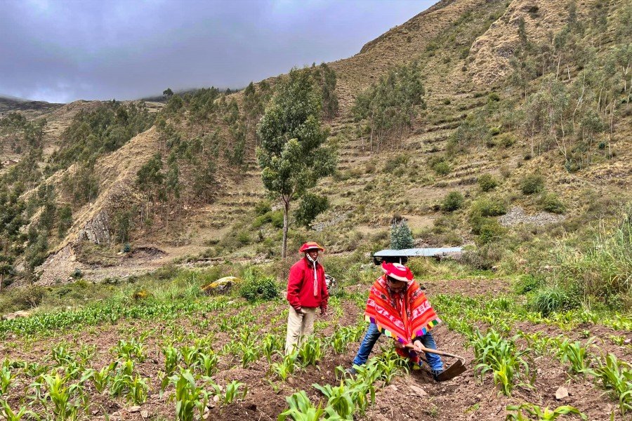 2-Day Patacancha Valley Trek with Huilloc Homestay