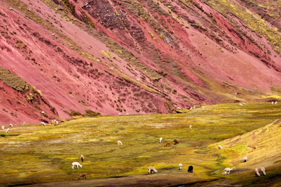 2-Day Vinicunca Mountain &amp; Waqrapukara Adventure