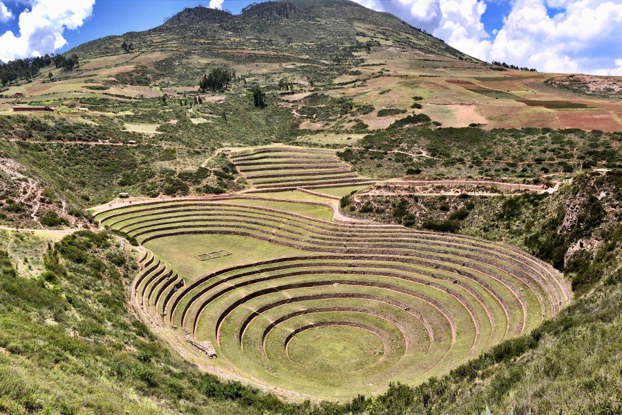 1-day moray to maras llama trek