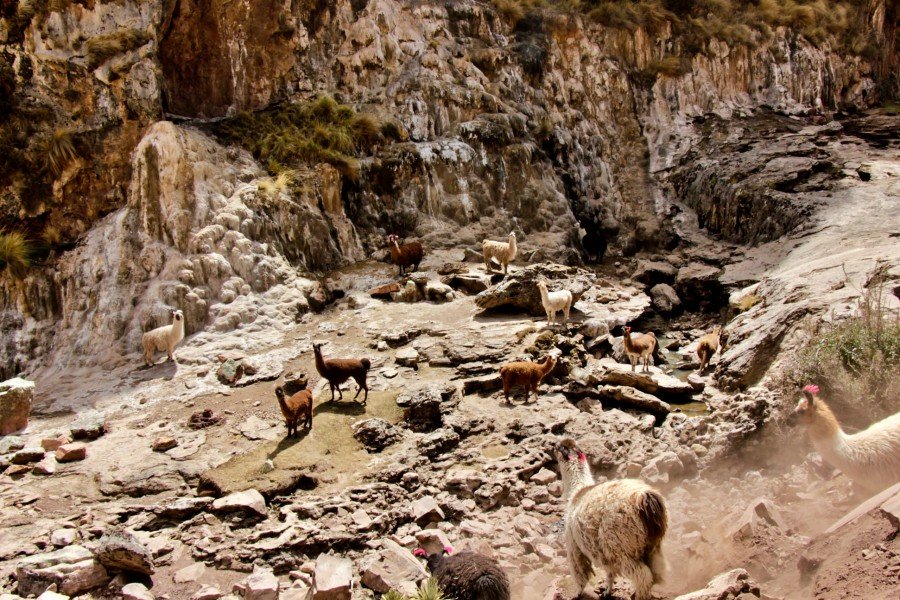 1-Day Ananiso Canyon Trek