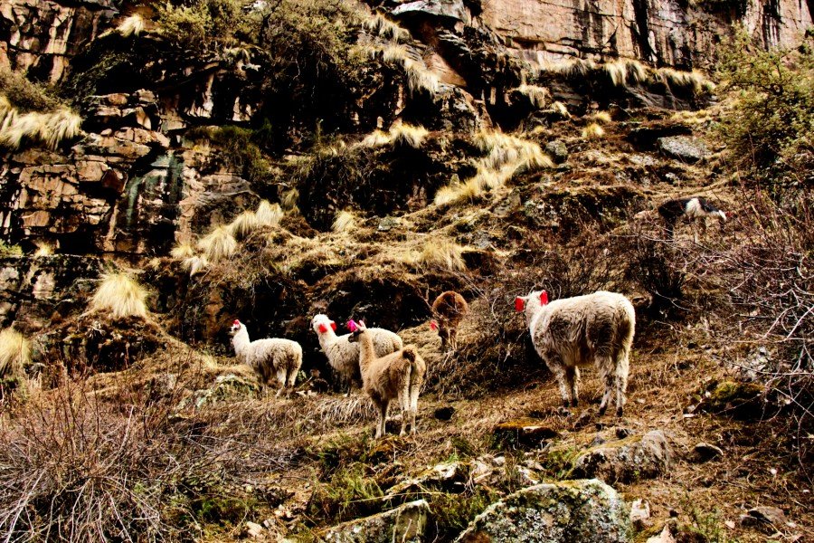 1-Day Ananiso Canyon Trek