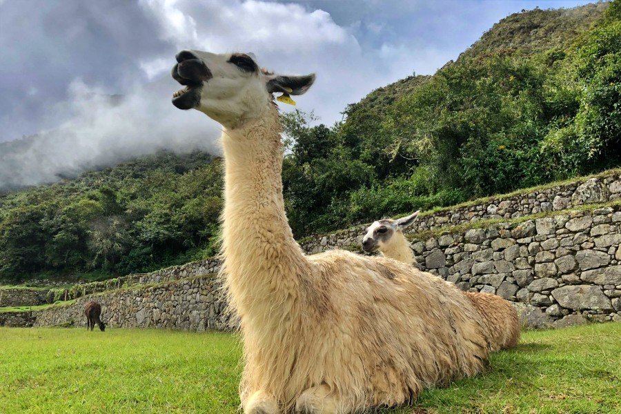 4-Day Inca Quarry Trek to Machu Picchu