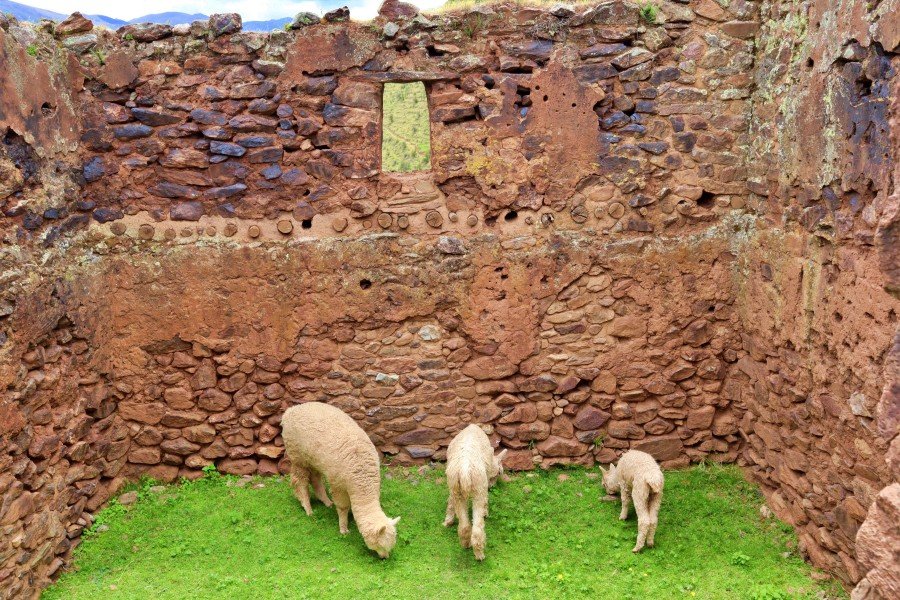 1-day pumamarca to ollantaytambo trek