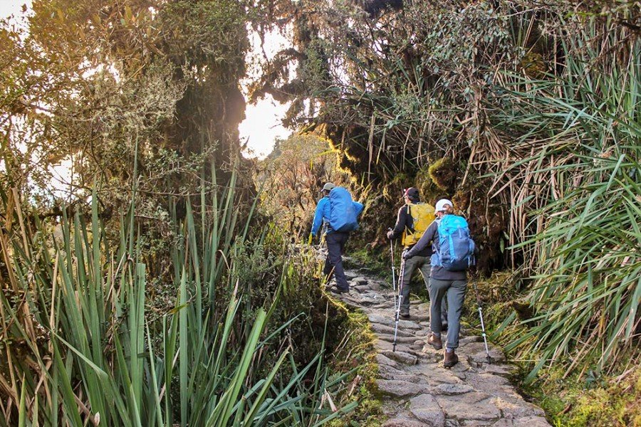 6-Day Salkantay Trek &amp; Full Inca Trail Experience