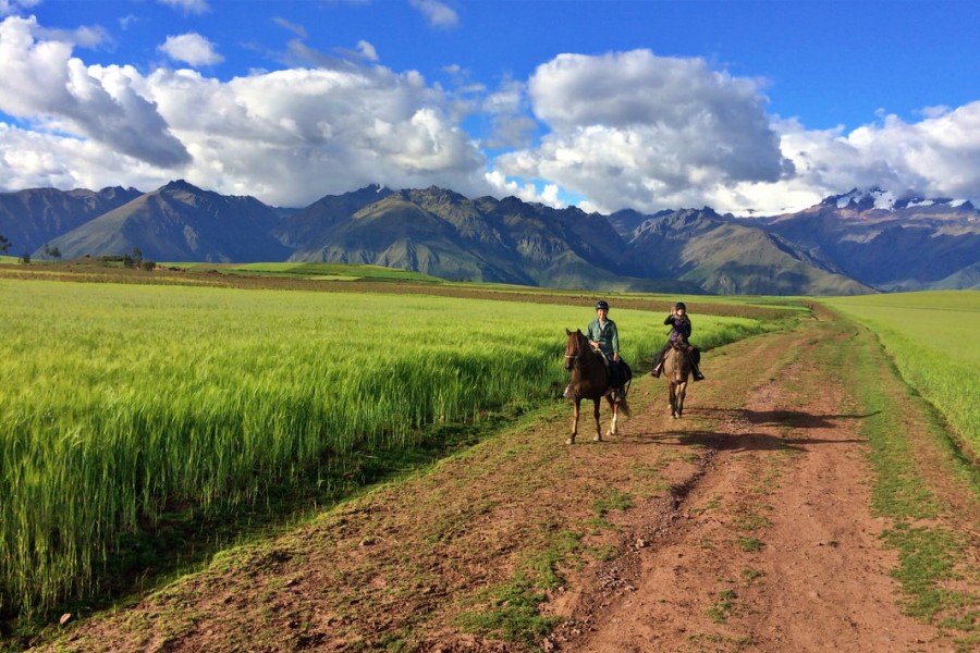 1-Day Maras Moray Horseback Riding Tour