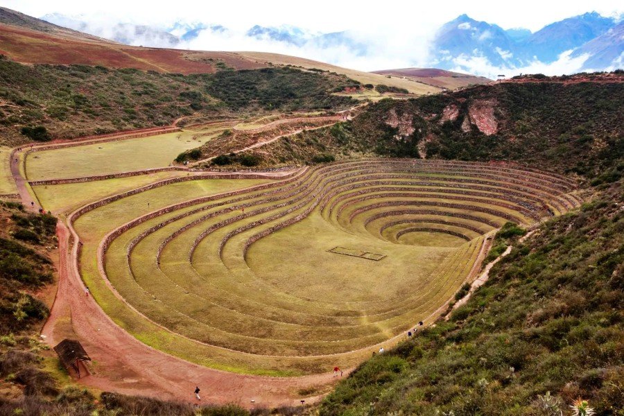 1-day moray to maras llama trek