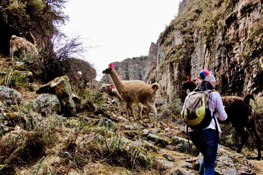 1-Day Ananiso Canyon Trek