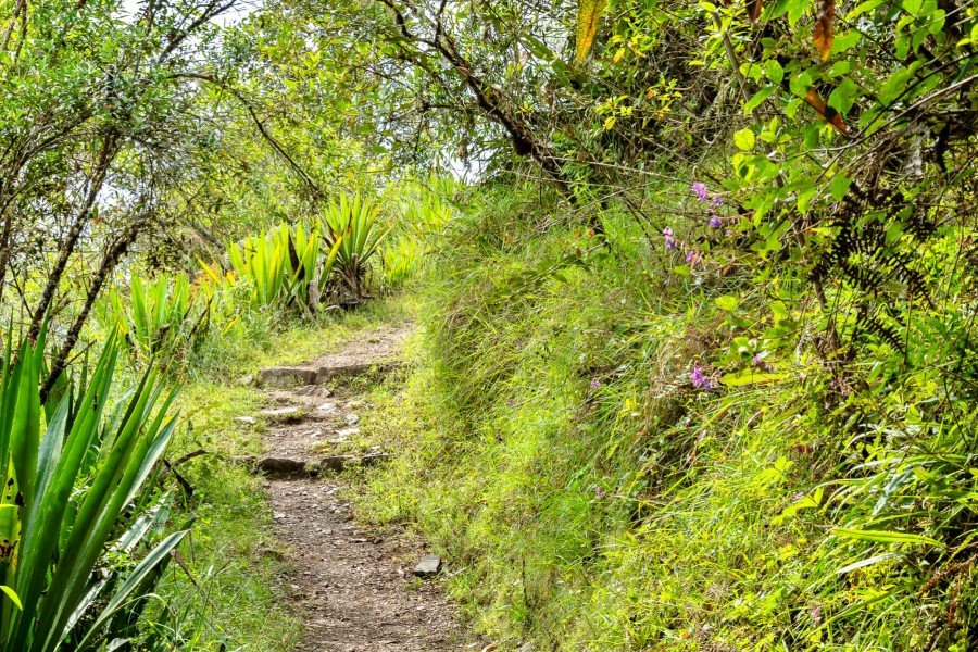 5-day salkantay trek with machu picchu finale